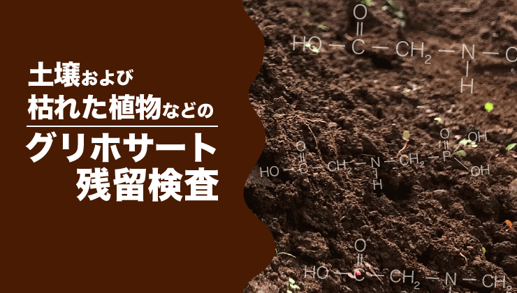 トップ画像