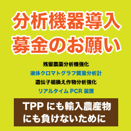 トップイメージ