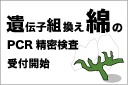 遺伝子組換えワタの栽培実態調査