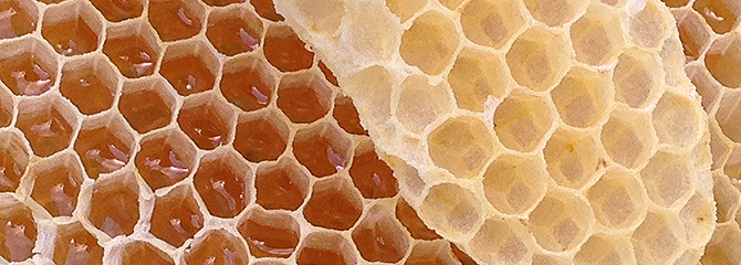 honey_bottle