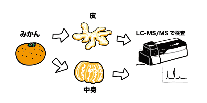 試験法について