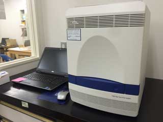 リアルタイムPCR