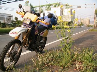 トップイメージ